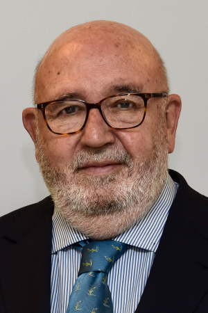 Javier García Fernández es autor en Editorial Reus