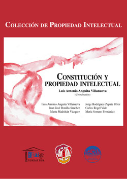 Constitución y propiedad intelectual. 9788429017687