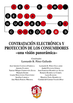 Contratación electrónica y protección de los consumidores. 9788429019667