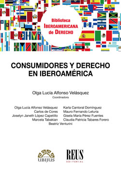 Consumidores y Derecho en Iberoamérica. 9788429020687