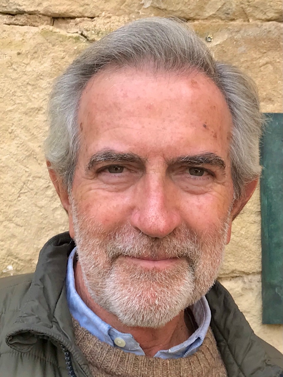 Javier Vicente Domingo es autor en Editorial Reus