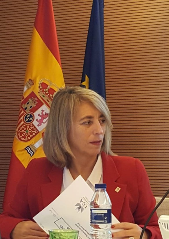 María Dolores Cervilla Garzón es autor en Editorial Reus