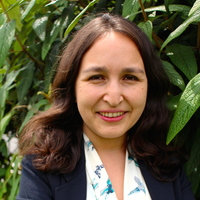 Pamela Mendoza-Alonzo es autor en Editorial Reus