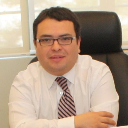 Roberto Andrés Navarro Dolmestch es autor en Editorial Reus