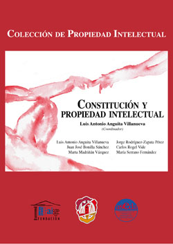 Constitución y propiedad intelectual