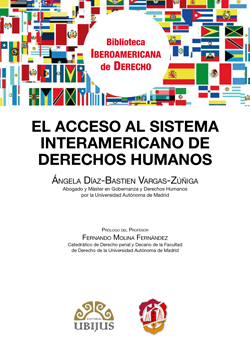 El acceso al sistema interamericano de Derechos Humanos