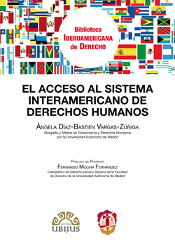 El acceso al sistema interamericano de Derechos Humanos. 9788429018226