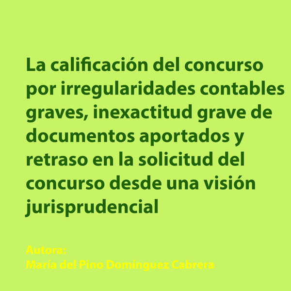 La calificación del concurso por irregularidades contables graves, inexactitud grave de documentos aportados y retraso en la solicitud del concurso desde una visión jurisprudencial