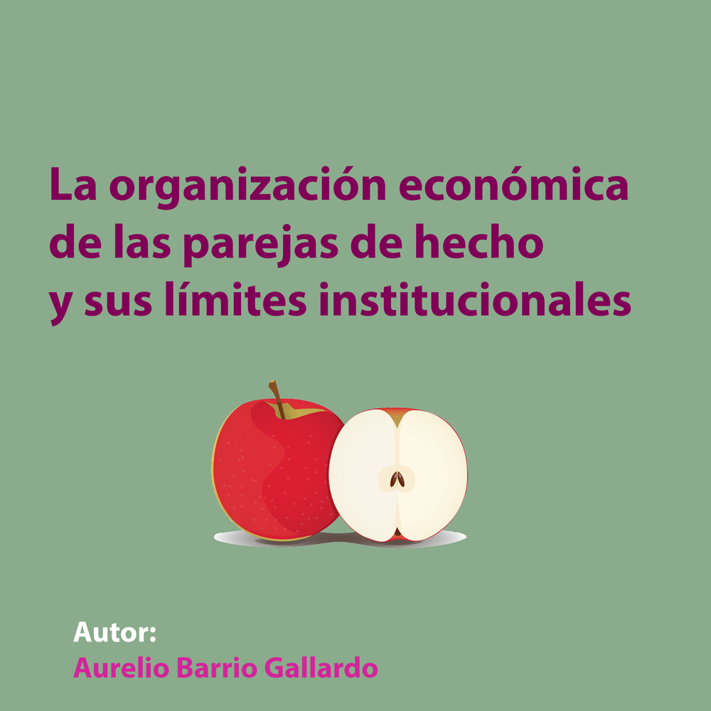 La organización económica de las parejas de hecho y sus límites institucionales